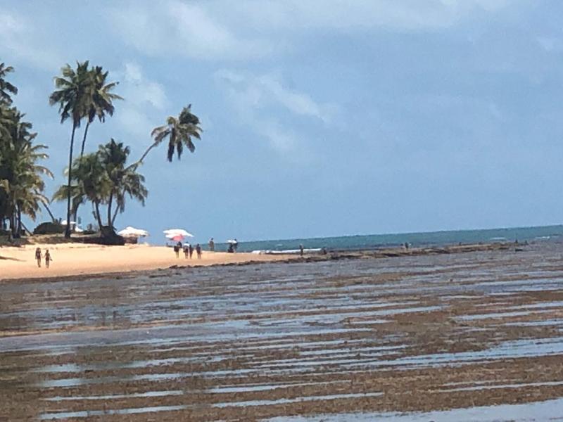 Hotel Eco Atlantico プライア・ド・フォルテ エクステリア 写真